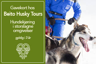 Gavekort Beito Husky Tours