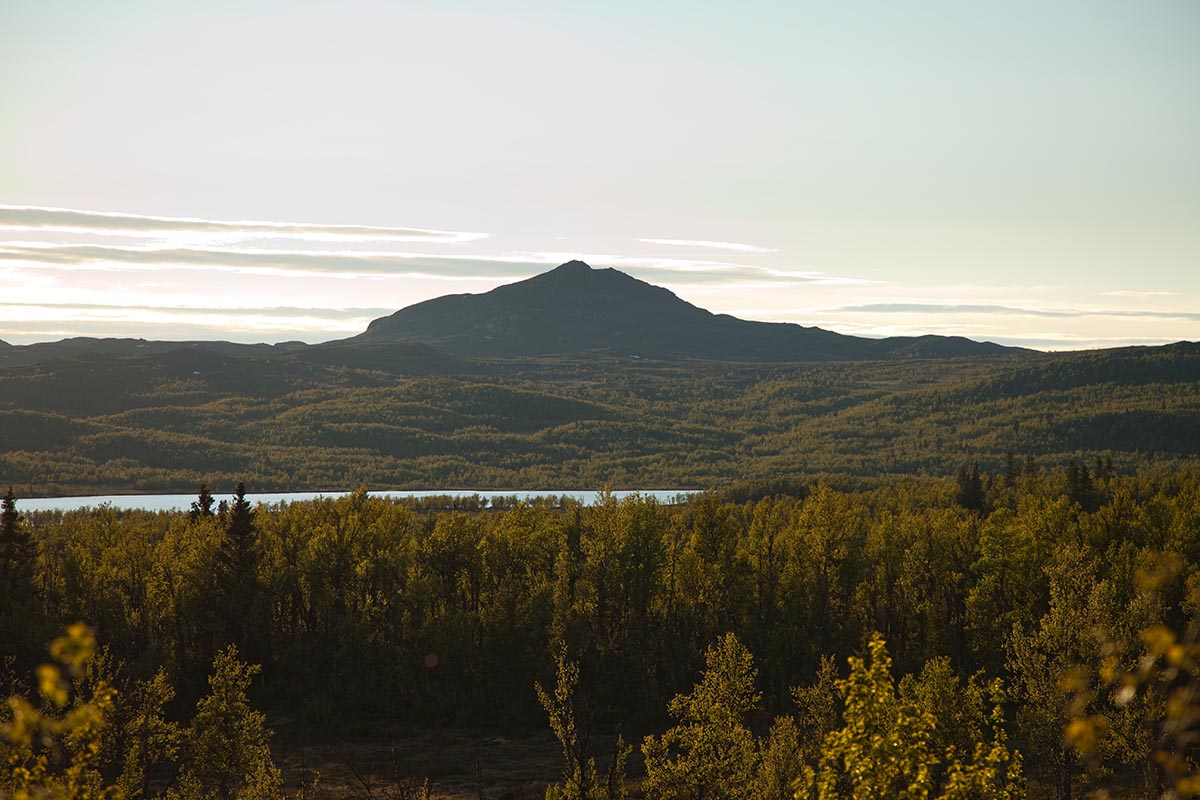 Djuptjernkampen sett fra Lenningen en fin sommerdag. En stor fjelltopp blant vann og mye skog.