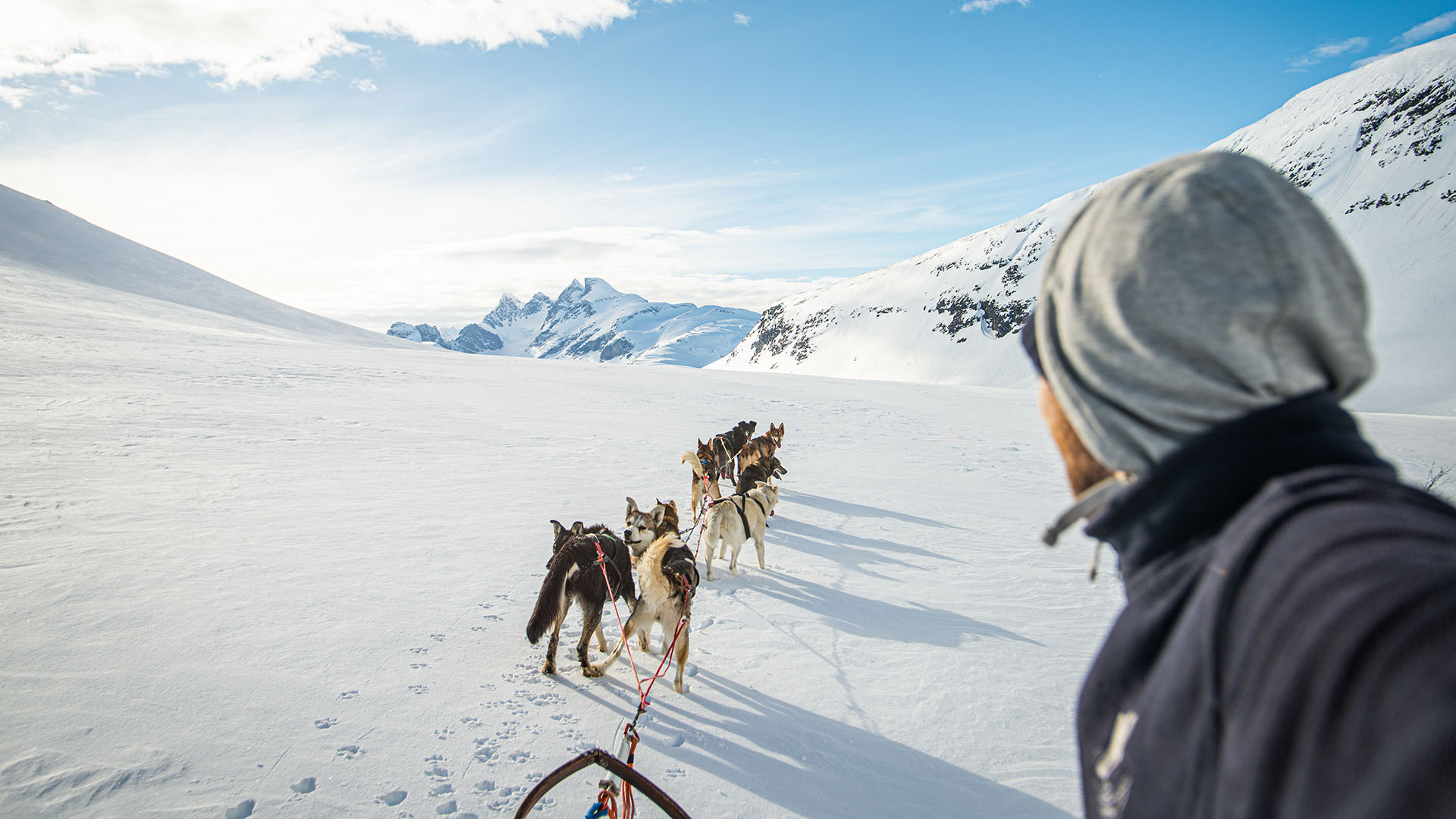 Et hundespann i snødekt fjellandskap med et massiv av spisse, alpine fjelltopper i bakgrunnen.