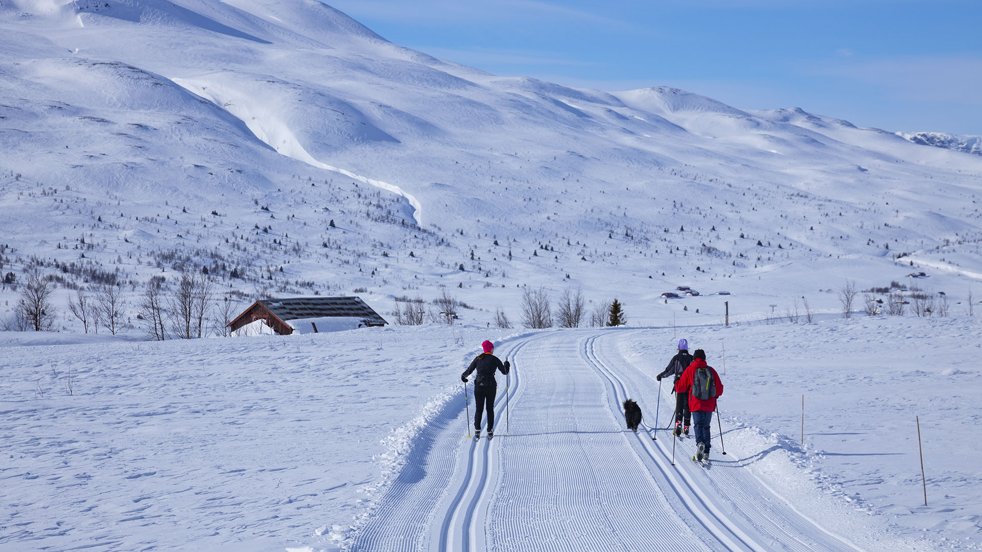 Langrennstur med Gilafjellet i bakgrunnen.