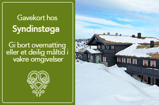 Gavekort Syndinstøga