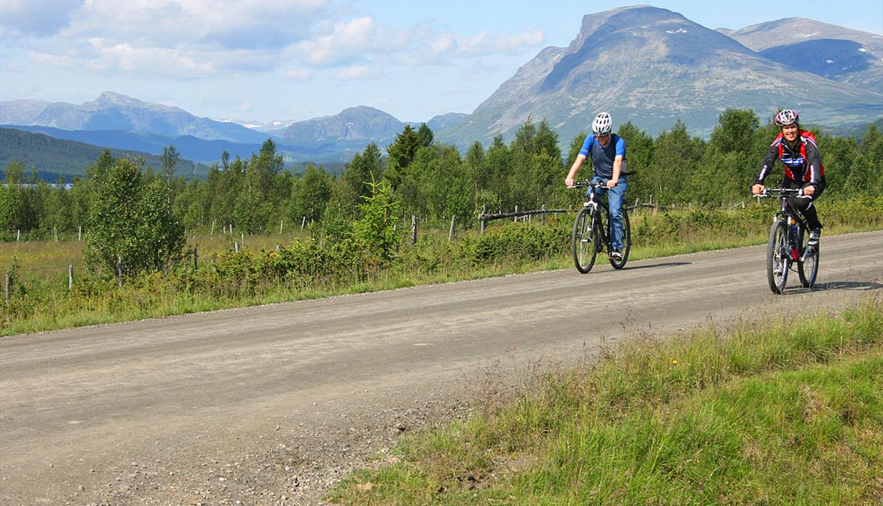 Syklister på stølsvei med fjell i bakgrunnen.