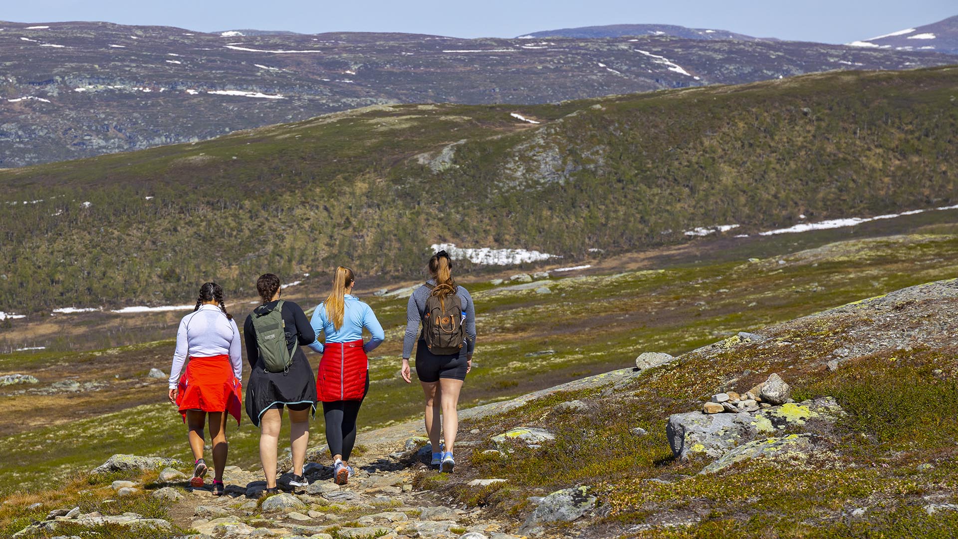 Fire unge jenter vandrer på en bred sti i åpent fjellterreng en varm sommerdag.