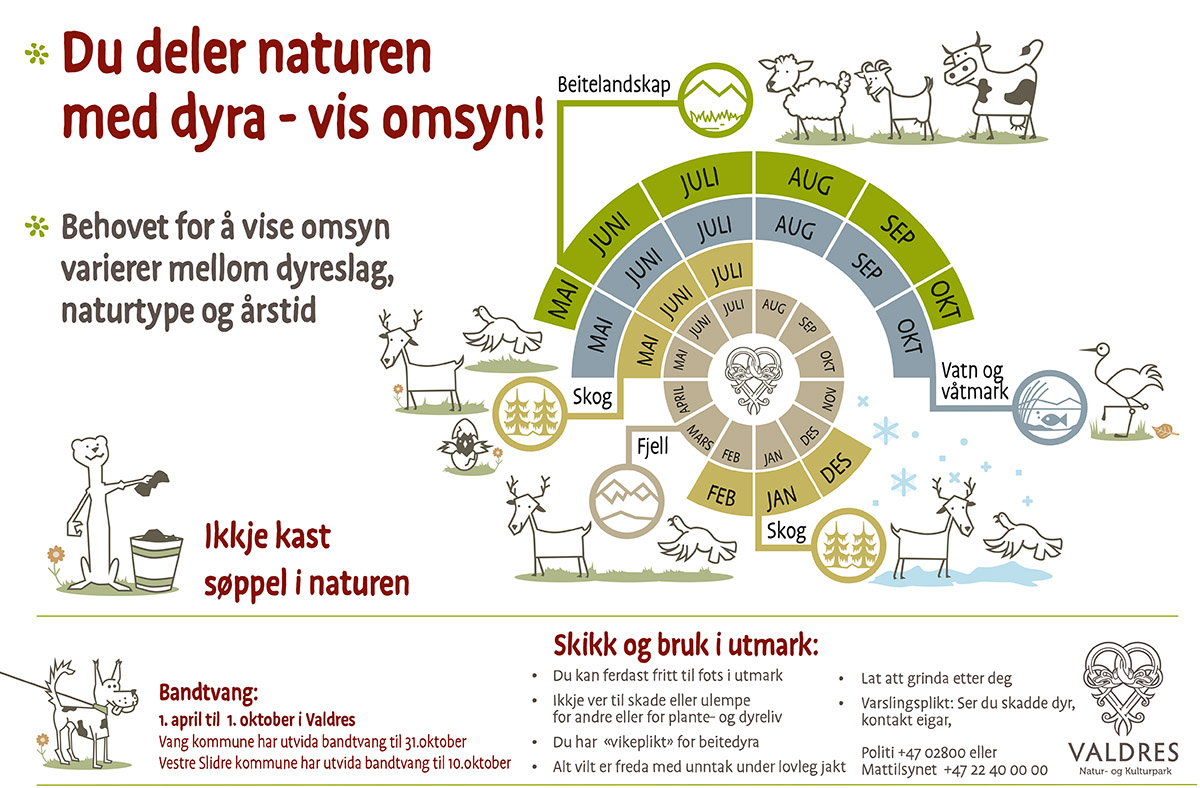 En grafikk som viser når og hvordan å ta hensyn til dyrelivet i naturen